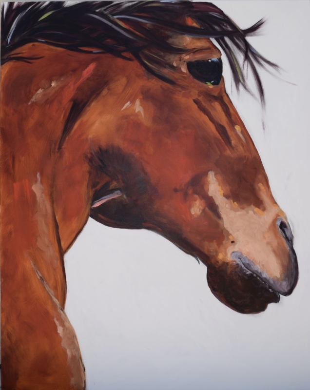 the roan by artist Andrea L. Wolf